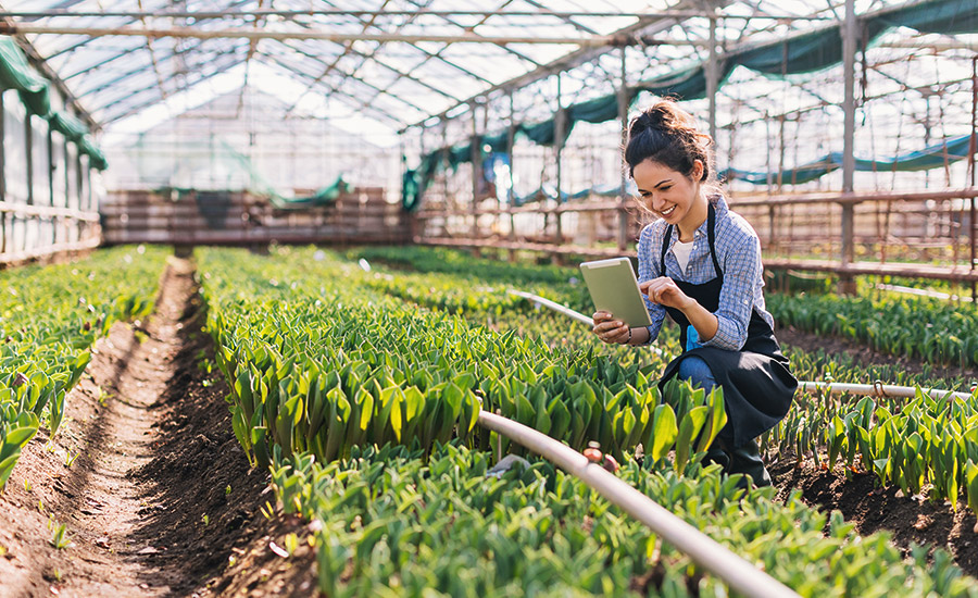 Agriculture Compliance