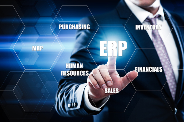 ERP for CEO