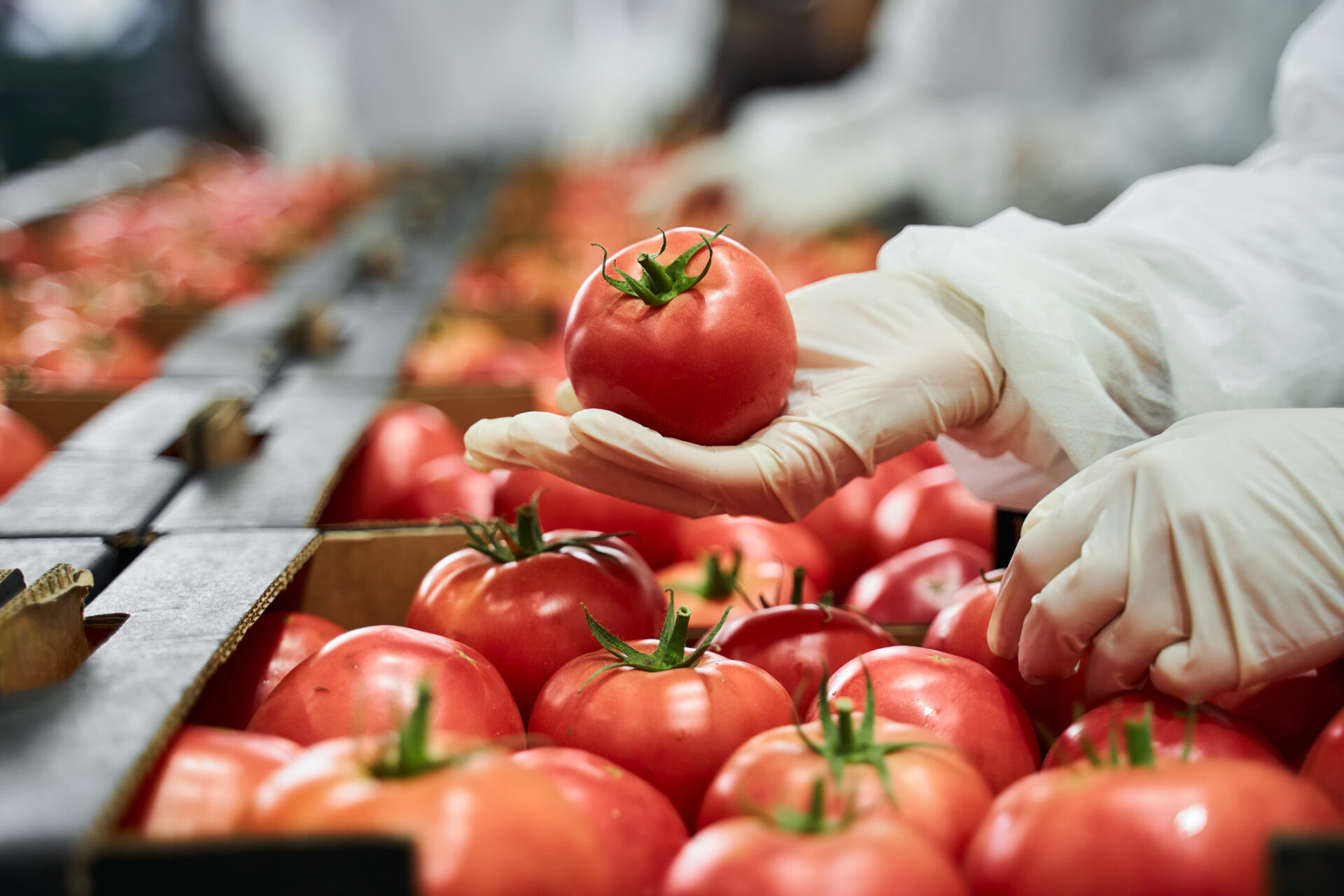 FoodBusiness ERP 2022 R4 Release Retains and Reference Sample Management