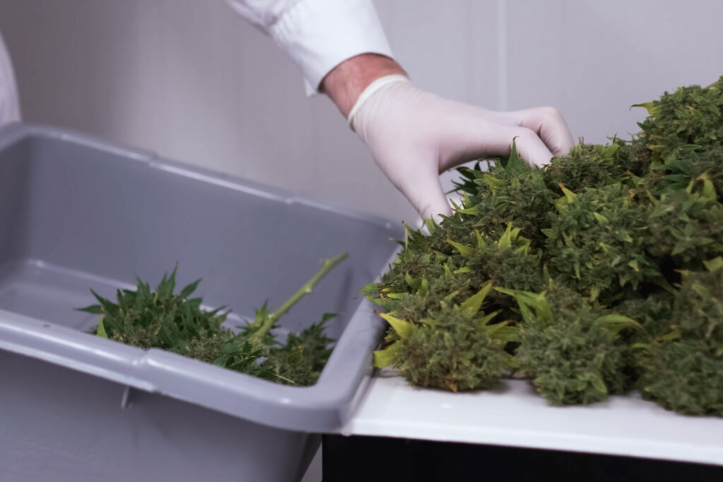 The High Cost of Disconnected Systems in the Cannabis Industry 1 The High Cost of Disconnected Systems in the Cannabis Industry