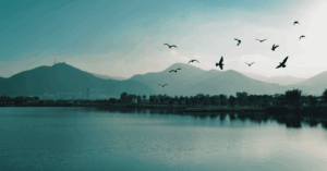 The Great Migration Navigating the End of Microsoft GP