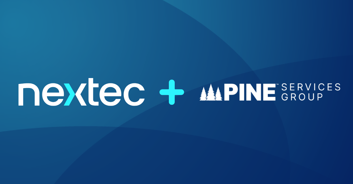 Blog post image Pine