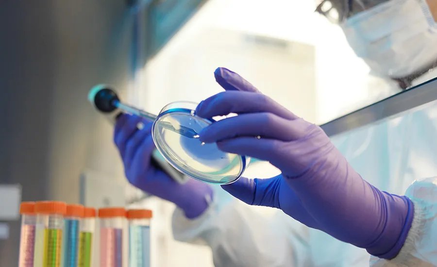 benefits chemical process