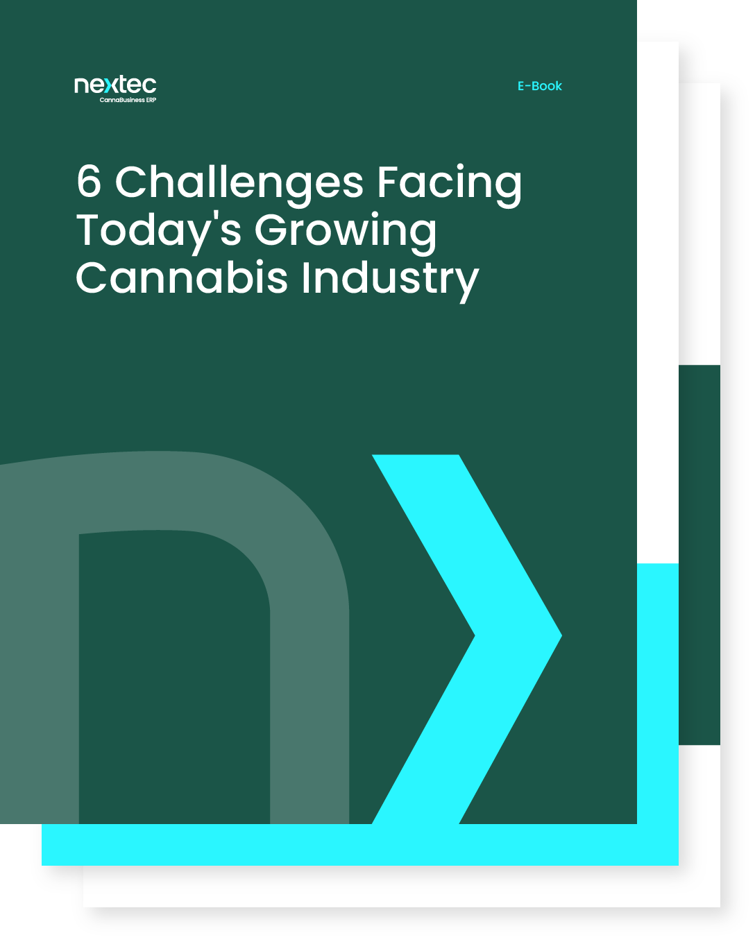 6 Challenges Facing Today's Growing Cannabis Industry