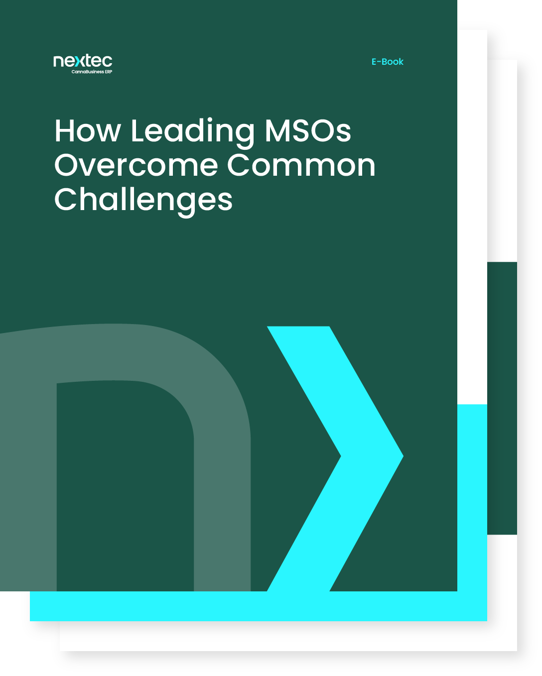 How Leading MSOs Overcome Common Challenges