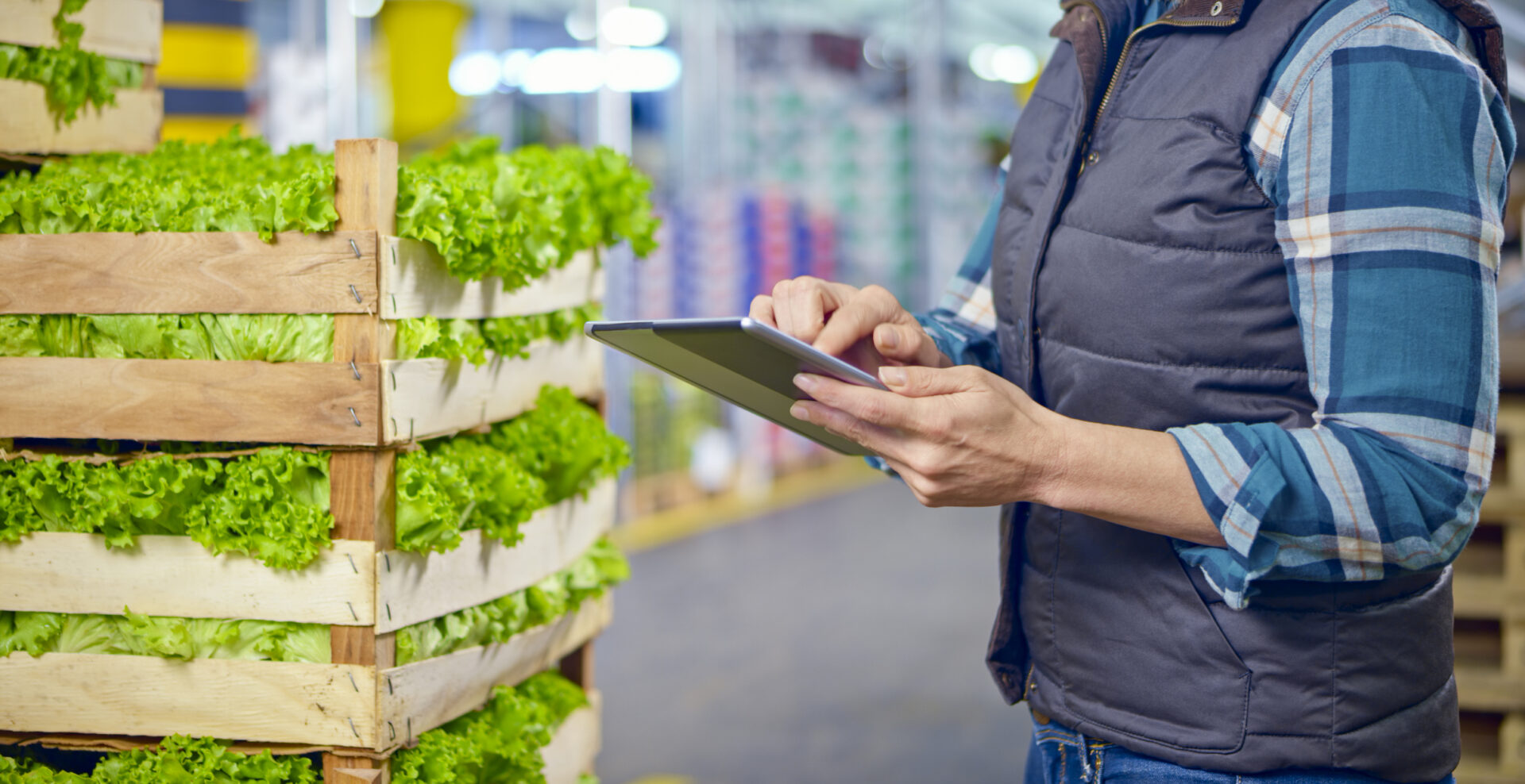 The State of Innovation in Food Manufacturing Thumbnail