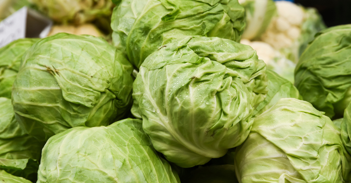 Lettuce Recall Highlights Need for Timely Food Traceability